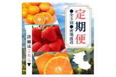 【定期便】●全3回● 産地直送 定期便【温州みかん・まりひめ・紀州デコ】 / フルーツ 果物 みかん いちご  旬 定期便  【tkb352】