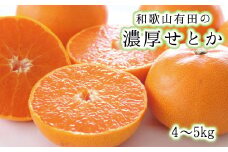 みかん 蜜柑 フルーツ 果物 せとか 【高級】和歌山有田の濃厚せとか　約4～5kg　※2025年２月中旬～3月上旬順次発送予定/【ard007B】