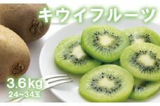 キウイ フルーツ 果物 【人気】和歌山県産　厳選! 濃厚キウイフルーツ　秀品　24～36玉　(約3.6kg) / キウイ フルーツ 果物 旬【ard015B】