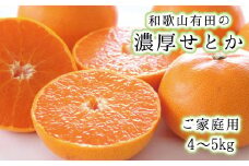  和歌山有田の濃厚せとか　約4～5kg(ご家庭用)　※2025年２月中旬～3月上旬順次発送予定/みかん 蜜柑 フルーツ 果物 せとか 【ard008A】