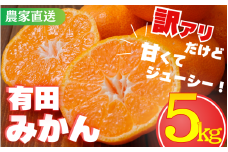【訳あり】農家直送 有田みかん約5kg ご家庭用 サイズ混合 （お届け日指定不可）※2025年11月中旬より順次発送予定　※北海道・沖縄・離島への配送不可　訳ありみかん 温州みかん サイズ混合 有機質肥料100% ふるさと納税 柑橘 有田 産地直送 【nuk161C】