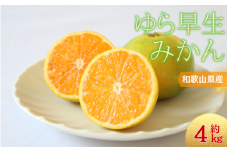 【先行予約】＼光センサー選別／＼農家直送／甘くて濃厚！希少品種 ご家庭用 ゆら早生みかん　約4kg　サイズ混合【2025年10月上旬頃より順次発送】【nuk162A】