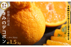  甘みと旨味がぎゅっと詰まった逸品！越冬完熟「きみのデコ」(デコポンと同品種) 約1.5kg サイズ混合 L以上 ご家庭用 (秀優混合) 【2026年3月上旬から下旬に順次発送】/ デコポン 不知火 柑橘  和歌山県 越冬 有機 【kmf012】