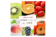 【全6回定期便】奇数月にお届け♪旬の野菜とフルーツ定期便！キウイ・清見オレンジ・アイコトマト・桃・ピオーネ・富有柿【tkb357】