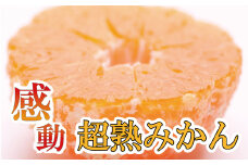 家庭用 超熟有田みかん5kg+150g（傷み補償分）【わけあり・訳あり】【光センサー選果】/ 和歌山 みかん ミカン 果物 フルーツ 果実【ikd019B】