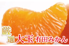 厳選　大きな有田みかん10kg+300g（傷み補償分）【光センサー選果】/ミカンオレンジ みかん 果物 フルーツ オレンジ 果汁 柑橘【ikd025B】