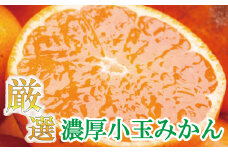 厳選　小玉な有田みかん7.5kg+225g（傷み補償分）【光センサー選果】＜11月上旬より順次発送予定＞ / みかん ミカン 柑橘 フルーツ 果物 和歌山 有田【ikd023-2B】