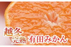 家庭用 越冬完熟みかん5kg+150g（傷み補償分）【ハウスみかん】【わけあり・訳あり】【光センサー選果】/ 和歌山 ミカン みかん オレンジ 果物 果実 柑橘 フルーツ【ikd027B】