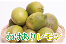 ＜先行予約＞わけあり レモン5kg+250g（傷み補償分）【和歌山有田産】【防腐剤・WAX不使用、安心の国産レモン】【わけあり・訳ありレモン】【ikd031C】