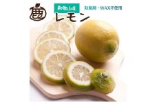 ＜先行予約＞レモン7.5kg+250g（傷み補償分）【和歌山有田産】【防腐剤・WAX不使用、安心の国産レモン】【ikd033C】