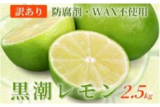 ＜先行予約＞わけあり レモン2.5kg+250g（傷み補償分）【和歌山有田産】【防腐剤・WAX不使用、安心の国産レモン】【わけあり・訳ありレモン】【ikd034C】