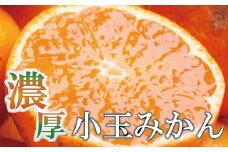 【先行予約】家庭用小さな有田みかん小さな(S以下)7.5kg+250g 10月より発送/ みかん ミカン 有田みかん 柑橘 フルーツ 果物 和歌山 オレンジ【ikd118C】