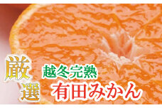 厳選 越冬完熟みかん3kg+90g（傷み補償分）【ハウスみかん】【光センサー選果】＜1月中旬より順次発送予定＞/ミカン みかん 果物 フルーツ オレンジ 果汁 柑橘【ikd121B】
