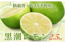 <9月より発送＞レモン2.5kg+250g（傷み補償分）【和歌山有田産】【防腐剤・WAX不使用、安心の国産レモン】【ikd136B】