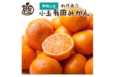【先行予約】家庭用小さな有田みかん小さな(S以下)2.5kg+250g 10月より発送/ みかん ミカン 有田みかん 柑橘 フルーツ 果物 和歌山 オレンジ【ikd153B】