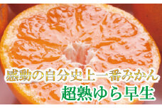 ＜11月より発送＞厳選　超熟有田みかん7.5kg+225g（傷み補償分）【自分史上一番みかん】【光センサー選別】【ikd171】