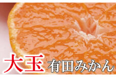 【先行予約】家庭用大きな有田みかん大きな(2L以上混合)2.5kg+250g 11月より発送/ みかん ミカン 有田みかん 柑橘 フルーツ 果物 和歌山 オレンジ【ikd176A】