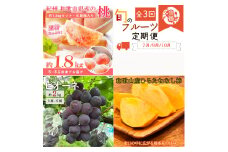 【全3回】紀州和歌山産旬のフルーツ定期便 (桃・ピオーネ・ひらたねなし柿)【tkb371】