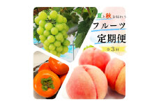 【全3回】夏と秋を味わうフルーツ定期便 (桃・マスカット・柿)【tkb370】