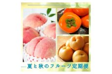 【全3回】夏と秋のフルーツ定期便 (桃・梨・ひらたねなし柿) 【tkb372】