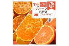【全3回】紀州和歌山産旬のフルーツ定期便 (田村みかん・はるみ・不知火)【tkb376】