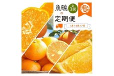 【全3回】紀州和歌山産旬の柑橘定期便 (みかん・なつみ・バレンシア)  / 果物 くだもの フルーツ 定期便 フルーツ定期便 果物定期便 和歌山 柑橘【tkb378】