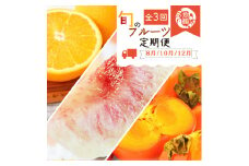【全3回】紀州和歌山産旬のフルーツ定期便 (桃・柿・みかん) 【tkb383】