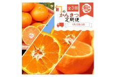 【全3回】紀州和歌山産旬の柑橘定期便(みかん・不知火・せとか)【tkb382】