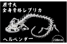 【ヘルベンダー】 原寸大 全身骨格レプリカ　/　レプリカ 標本 コレクション プラモデル 実物大 動物標本 骨格レプリカ オオサンショウウオ フィギュア インテリア 模型 動物 両生類 爬虫類 博物館 骨格 頭蓋骨 ミニチュア オブジェ 3Dプリント 【anf005】