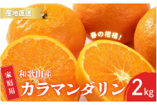 【先行予約】ご家庭用 カラマンダリン なつみ 春のみかん 和歌山 有田  S～2Lサイズ 大きさお任せ 2kg【2025年4月上旬～5月上旬までに順次発送予定】/ みかん フルーツ 果物 くだもの 蜜柑 柑橘【ktn036】