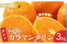 【先行予約】訳あり 有田 カラマンダリン なつみ 春のみかん 2S～3Lサイズ混合 3kg【2025年4月上旬～5月上旬までに順次発送予定】/ みかん フルーツ 果物 くだもの 蜜柑 柑橘【ktn038】
