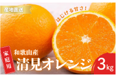 【先行予約】ご家庭用 きよみ 清美オレンジ 和歌山 有田 S～2Lサイズ 大きさお任せ 3kg【2月中旬～3月下旬頃に順次発送】/ みかん フルーツ 果物 くだもの 蜜柑 柑橘【ktn041】