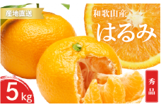 【先行予約】秀品 はるみ 和歌山 有田 S～2Lサイズ 大きさお任せ 5kg【2025年1月下旬～3月下旬までに順次発送予定】/ みかん フルーツ 果物 くだもの 蜜柑 柑橘【ktn045】