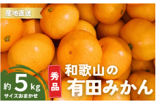 【10月発送】秀品 有田みかん 和歌山県産  S～Lサイズ 大きさお任せ 5kg / みかん フルーツ 果物 くだもの 有田みかん 蜜柑 柑橘【ktn002-10】