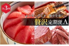 【全3回】まぐろ・うなぎ・和牛を楽しむ贅沢定期便A / 鮪 マグロ 刺身 鰻 ウナギ 蒲焼 熊野牛 肉 牛肉 和牛 黒毛和牛 ヒレ ロース シャトーブリアン ステーキ スライス【tkb386】
