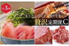 【全3回】まぐろ・うなぎ・和牛を楽しむ贅沢定期便C / 鮪 マグロ 刺身 たたき 鰻 ウナギ 蒲焼き 熊野牛 肉 牛肉 和牛 黒毛和牛 ヒレ シャトーブリアン ステーキ 赤身 こま切れ 【tkb388】