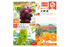 【全3回】紀州和歌山産旬のフルーツセット(巨峰・シャイン・みかん) / 果物定期便 フルーツ定期便 みかん オレンジ 柑橘 くだもの 果物 シャイン マスカット ぶどう 巨峰 【tkb398】