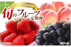 【全3回】＼フルーツ大国和歌山からお届け／ 旬のフルーツ 定期便（いちご・桃・ピオーネ）【tkb401】 