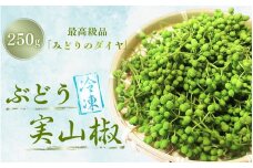  冷凍 ぶどう 生実山椒 250g / 山椒 さんしょう 香辛料 調味料 薬味 冷凍 ぶどう山椒 生山椒 和歌山県 紀美野町 生実山椒【twn020A】