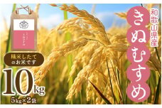 和歌山県産の お米 きぬむすめ 10kg (5kg×2袋) 〈令和6年度産〉 産地直送 / 米 こめ ご飯 ごはん 白米 国産 和歌山県産 小分け【hio104A】