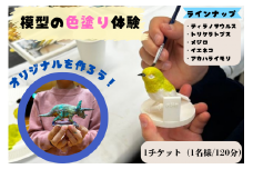 模型の色塗り体験チケット　/　体験 子ども 家族 レプリカ 標本 コレクション プラモデル 恐竜 動物標本 フィギュア 模型 動物 爬虫類 ミニチュア オブジェ 【anf006】