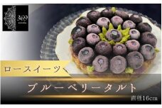 【ロースイーツ】ブルーベリータルト  直径 16cm 〈ロースイーツ店 369miroku 和歌山県 紀美野町〉/  ローケーキ スイーツ 健康 ダイエット ケーキ グルテンフリー ヴィーガン 低糖質 手作り プレゼント ギフト 【mrk006】