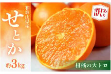 【ご家庭用訳あり】ジューシー柑橘 せとか 約3kg【先行予約】※2026年2月中旬頃〜2026年3月中旬頃発送予定（お届け日指定不可） せとか みかん ミカン 柑橘 フルーツ 果物 くだもの【uot834A】