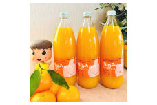 【数量限定】【大人気】有田みかん100％のジュース1,000ml×3本セット　※着日指定不可 / 和歌山 みかん みかんジュース 柑橘 果物 フルーツジュース【tkh004A】