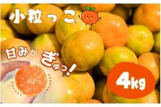 温州みかん 「小粒っこ」 4g ※箱込み (極早生・早生・中生・晩稲)【2S～3Sサイズおまかせ】【2025年10月中旬～2026年1月下旬までに順次発送】＜味好農園＞/温州 みかん 小玉 蜜柑 柑橘 みかん 極早生 早生 中生 晩稲 小粒 果物 フルーツ 【agy026】
