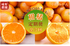 受付は今月で終了！【定期便全3回】＼みかん好きにはたまらない！／ 味好農園の 柑橘定期便  ( 小粒みかん・不知火・清見オレンジ )　旬の時期にお届け♪ / 定期便 デコポン 不知火 オレンジ しらぬい みかん 小玉 ss sサイズ フルーツ 3回【tkb605A】