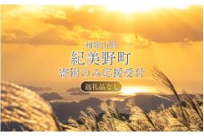 【返礼品なし】和歌山県紀美野町への寄附 1,000円（寄附のみの受付となります）/ 紀美野町 和歌山県 寄附のみ 支援 応援 寄付 1,000円 【kmy001】