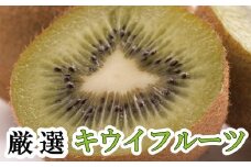 ＜11月より発送＞厳選 キウイ5kg+250g（傷み補償分）【扁平果】 / 和歌山 フルーツ 果物 くだもの 旬 キウイフルーツ キウイ 栄養たっぷり【ikd711A】