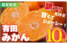 【訳あり】農家直送 有田みかん 約10kg ご家庭用 サイズ混合（お届け日指定不可）【年先行予約】※2025年11月中旬より順次発送予定 ※北海道・沖縄・離島への配送不可　訳ありみかん 温州みかん サイズ混合 訳ありみかん 温州みかん 有機質肥料100% ふるさと納税 柑橘 有田 産地直送 みかん ミカン 【nuk138E】