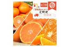 【全3回】紀州和歌山産旬のご家庭用柑橘セット(みかん・不知火・清見)【tkb411】